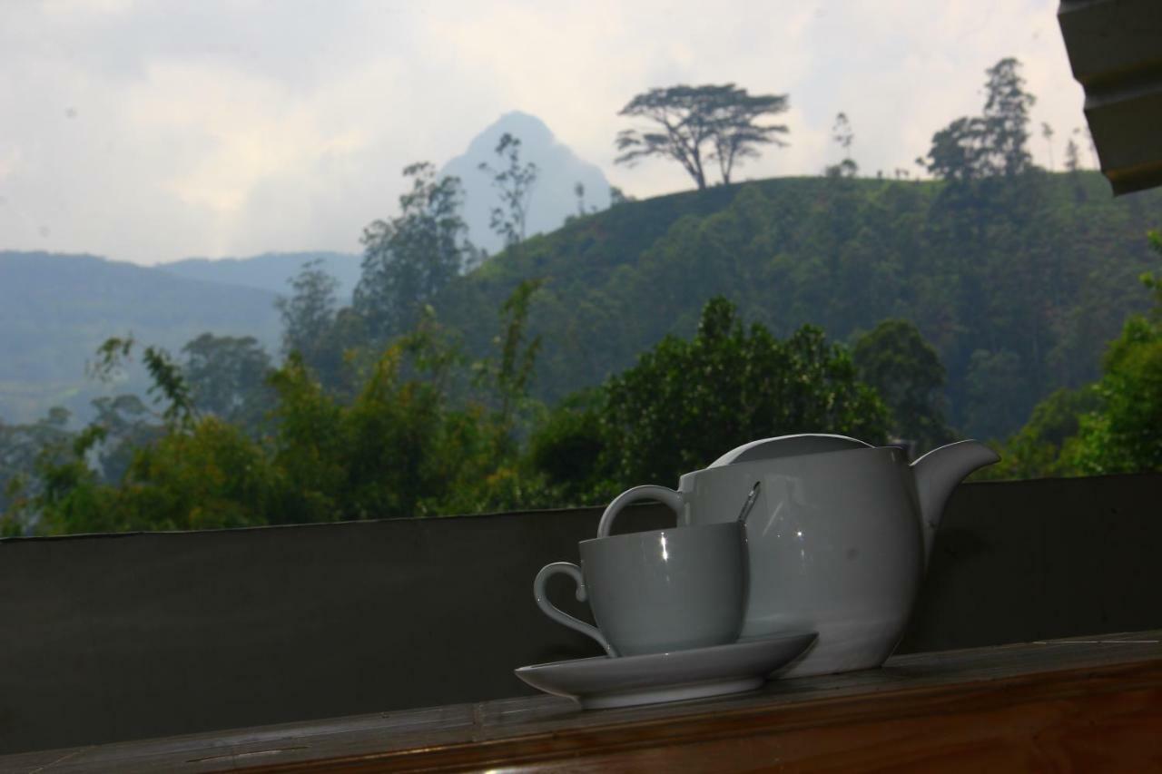 Hotel Ayos Hill Adam'S Peak Free Shuttle Nallathanniya Exteriér fotografie